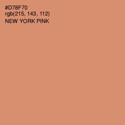 #D78F70 - New York Pink Color Image